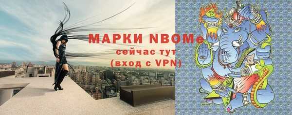 индика Алзамай